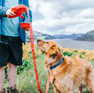 Correa para perro 3 en 1